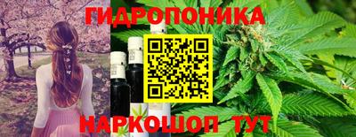стафф Мариинск